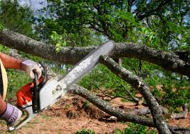 Seasonal Cleanup (Spring/Fall) in Harrisville, RI